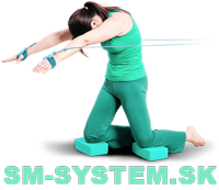logo-sm-system